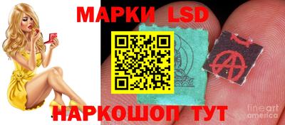 a pvp Будённовск